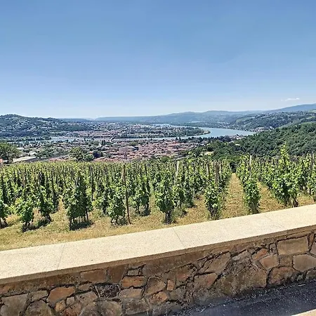 Condrieu, Le Chatillon Au Coeur Du Vignoble Belle Vue Sur Vallee Du Rhone Exterior foto