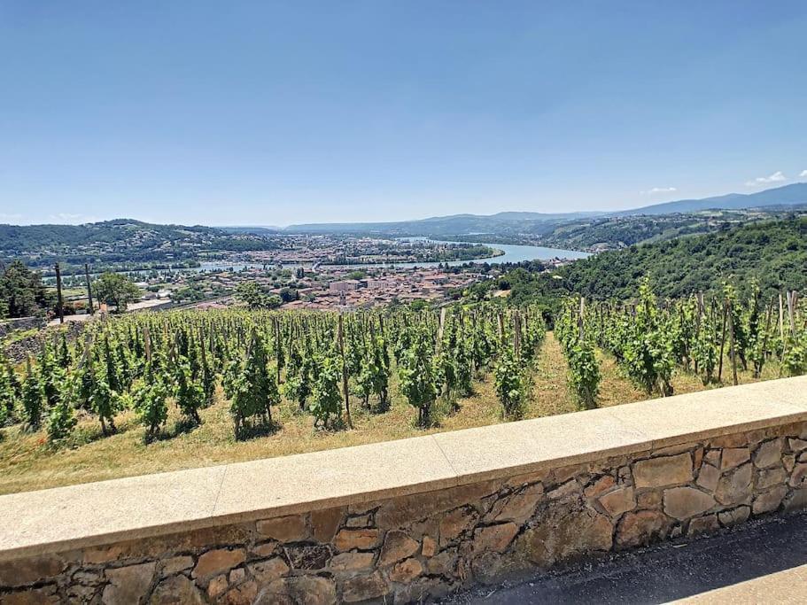 Condrieu, Le Chatillon Au Coeur Du Vignoble Belle Vue Sur Vallee Du Rhone