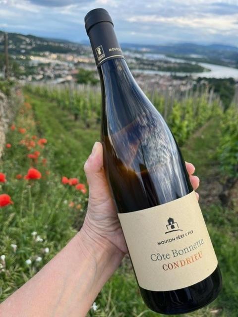 Apartment Condrieu, Le Chatillon Au Coeur Du Vignoble Belle Vue Sur Vallee Du Rhone Condrieu